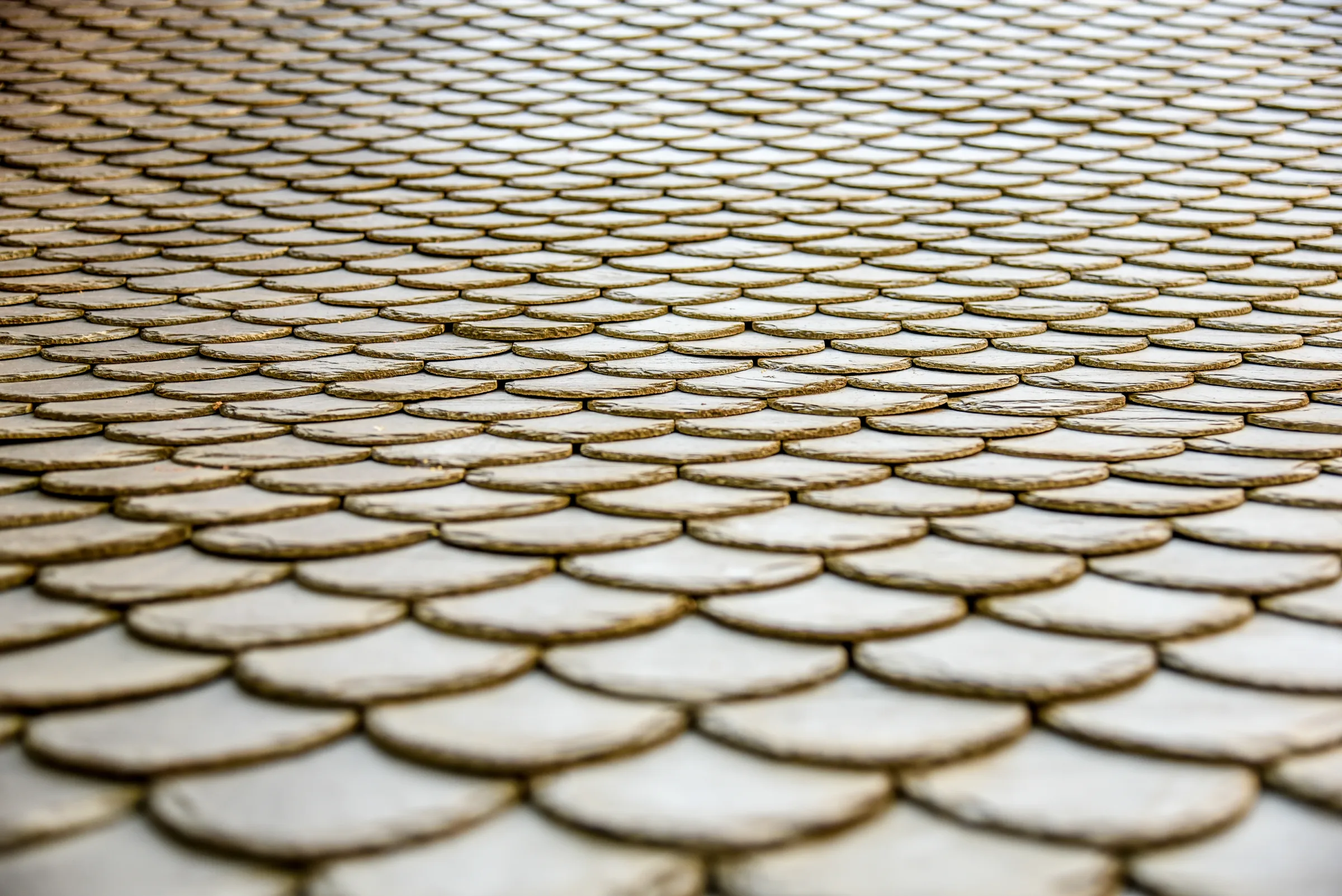 Treville Andaman - Image 9